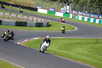 Advanced Group White Bikes